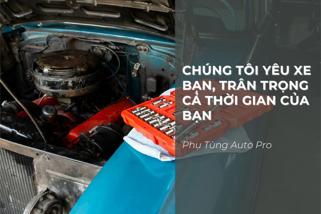 hình ảnh minh họa chúng tôi quý xe của bạn